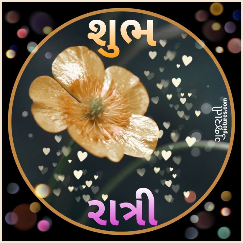 30+ Best Shubh Ratri Wishes - gujaratiimages.com