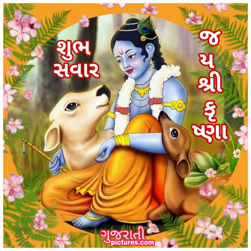 Jai Shree Krishna Image, Shybh Savar