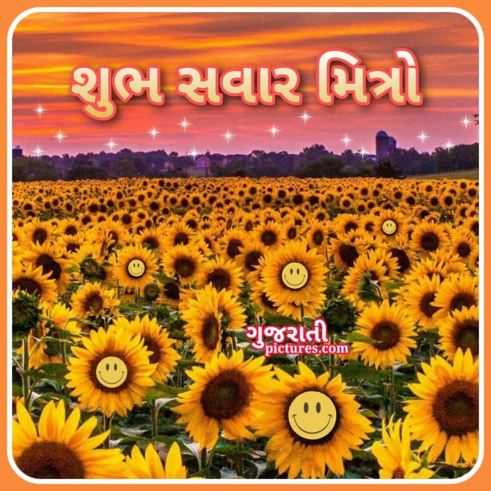 Shubh Savar, Flowers Image