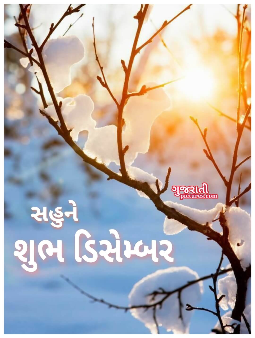 Shubh December, Gujarati Image